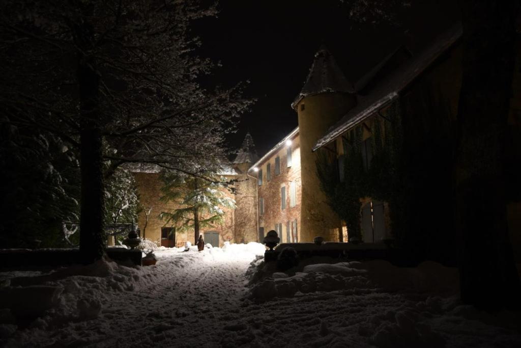Chateau De Passieres Chichilianne Экстерьер фото