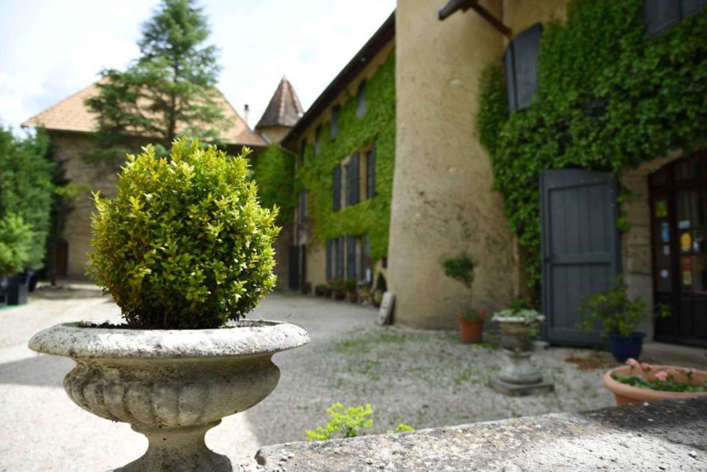Chateau De Passieres Chichilianne Экстерьер фото